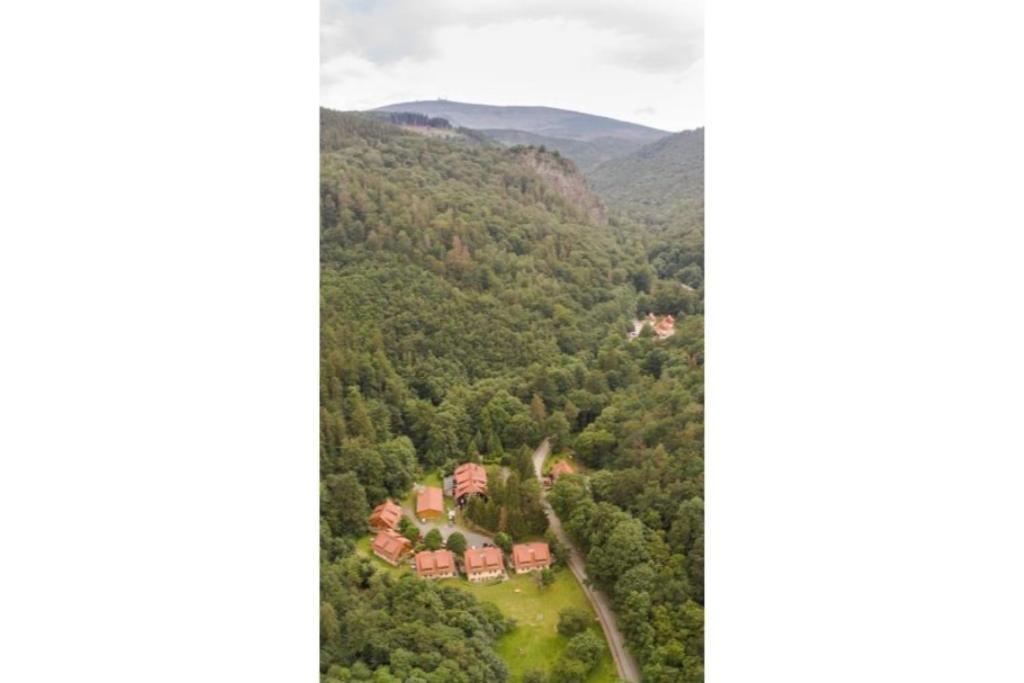 Ferienwohnung Forsthaus Am Brocken, 55 Qm, 2 Schlafzimmer F7 Ilsenburg Bagian luar foto